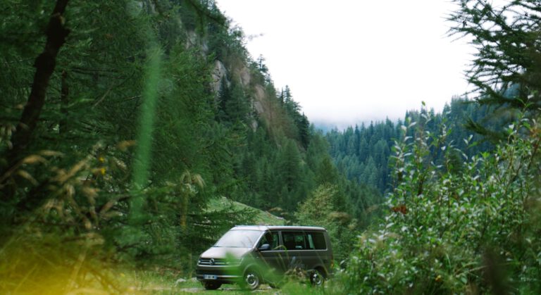 Ein grauer großer Mercedes PKW steht mitten in einem Wald an einem Hang zum Wildcampen.